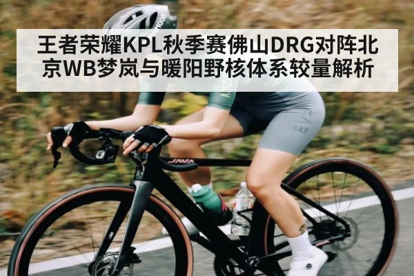 王者荣耀KPL秋季赛佛山DRG对阵北京WB梦岚与暖阳野核体系较量解析